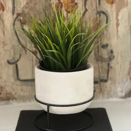 Διαμέρισμα La Dimora Del Centro *