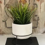 Apartamento La Dimora Del Centro *